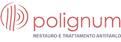Polignum Logo